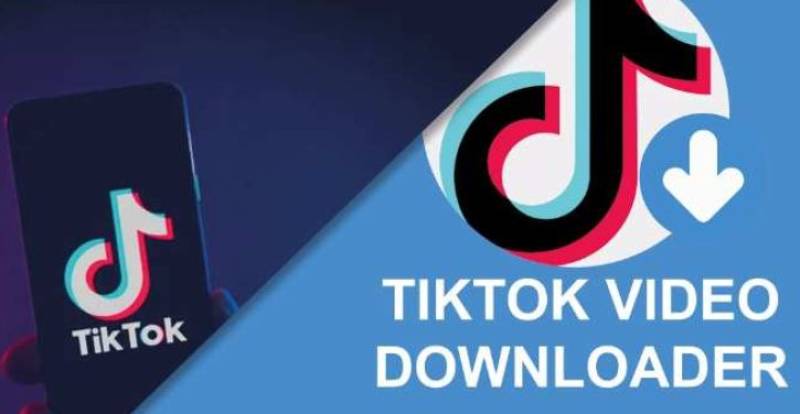 Downloading TikTok Videos On IOS Devices Made Easy With TikMate